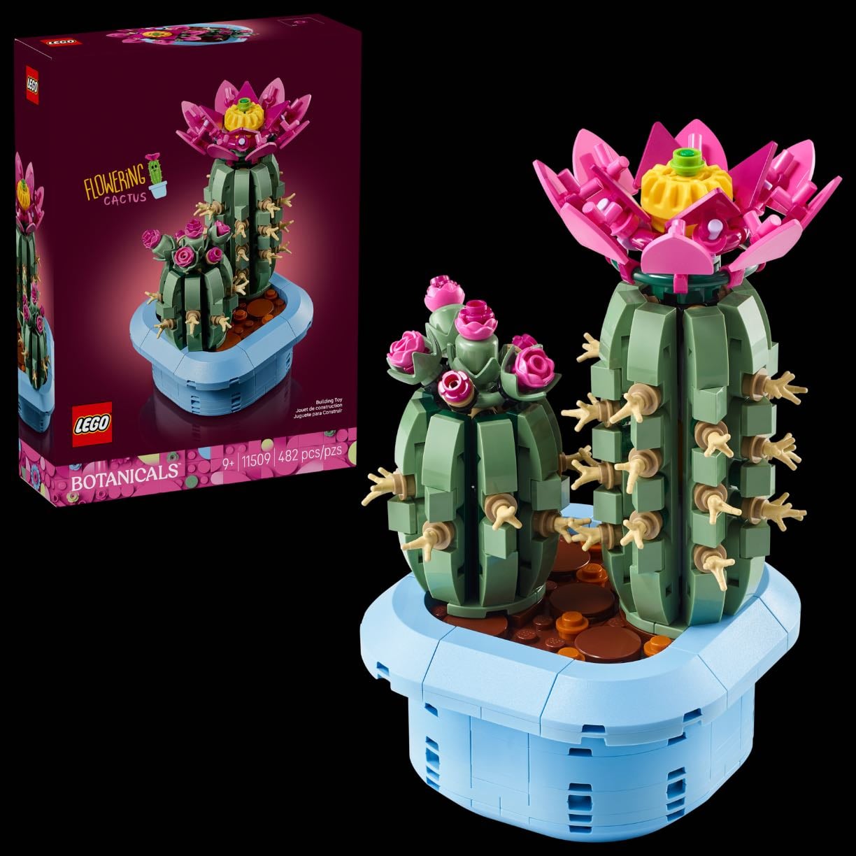 Flowering Cactus