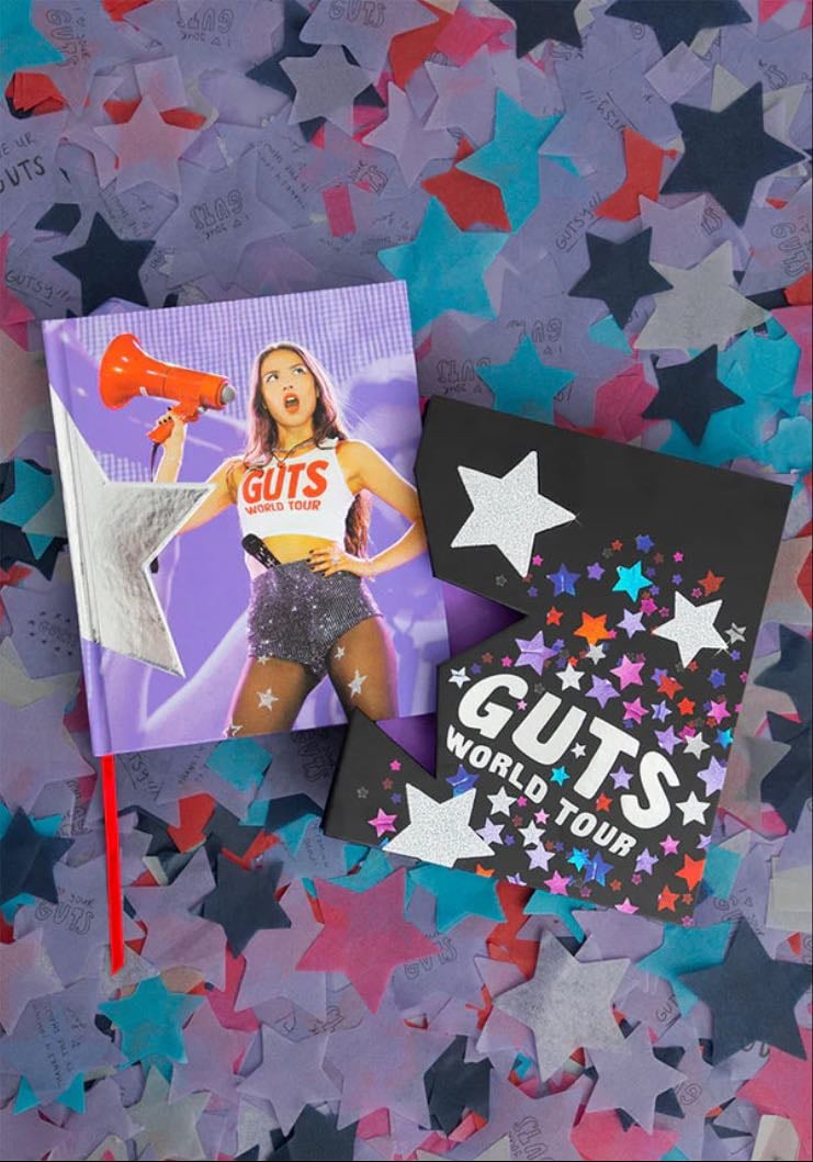 Olivia Rodrigo guts book