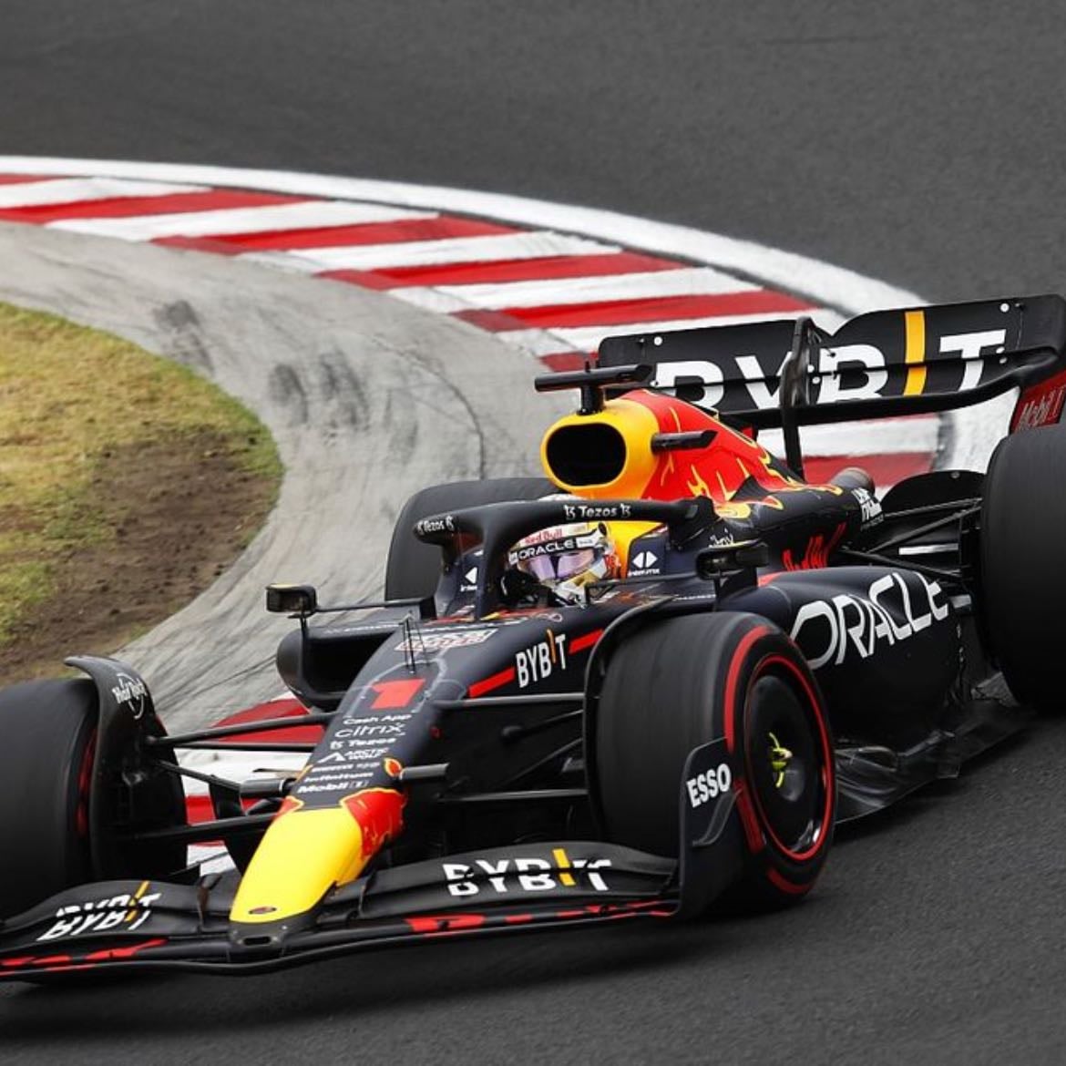 💙 Max Verstappen - Red Bull #1