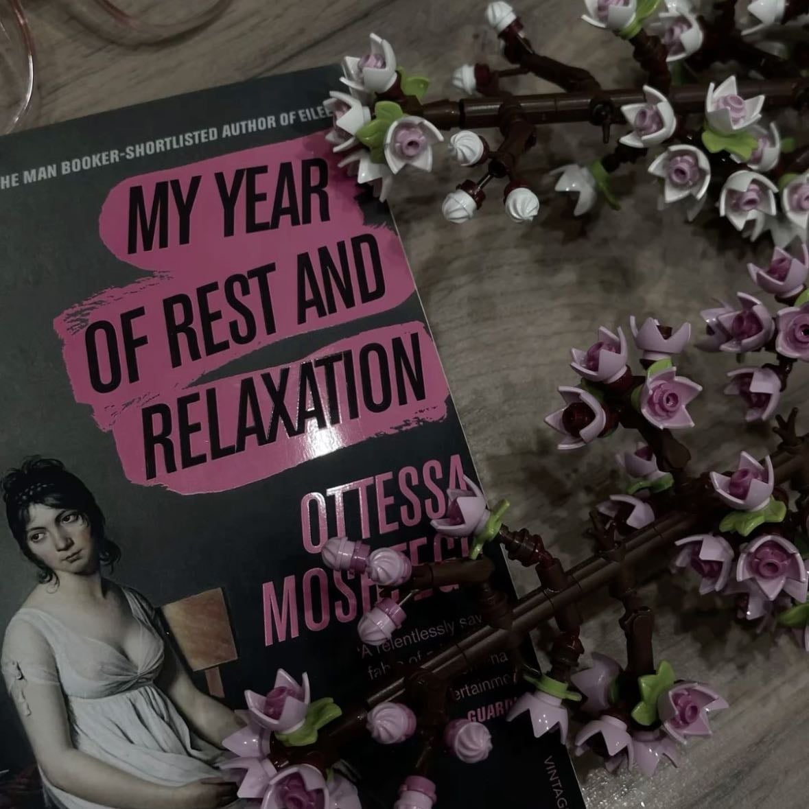Libro “Mi Año de Descanso y Relajación”