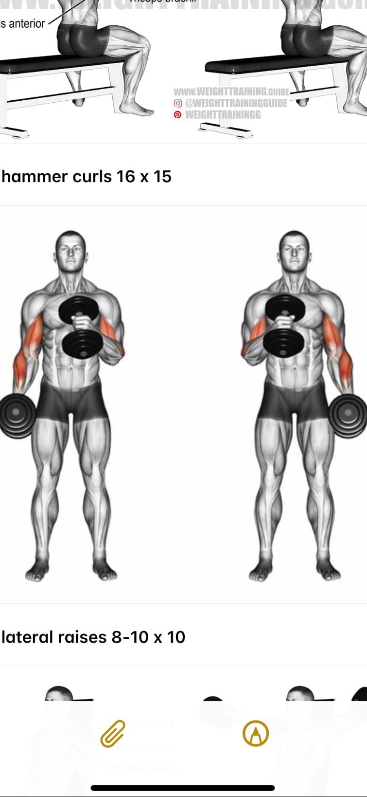 Overhead tricep extension
