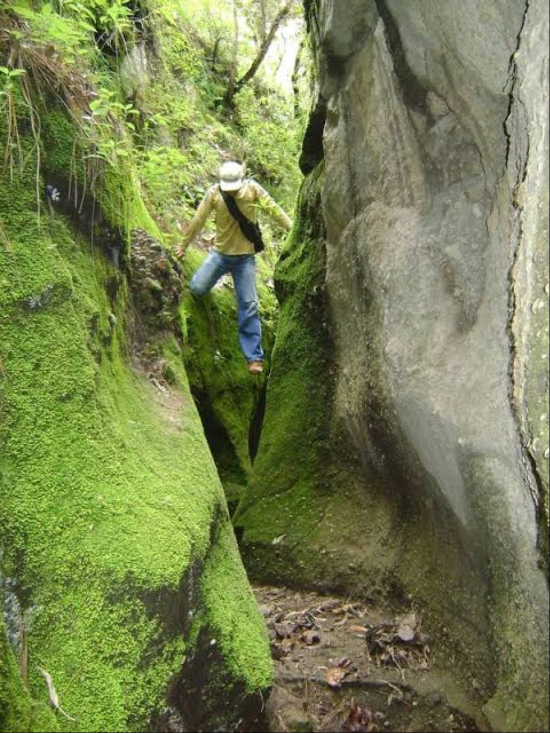 Cañón del Carbón