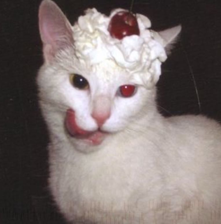 Cardápio da dieta <3