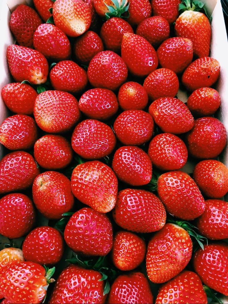 Morango