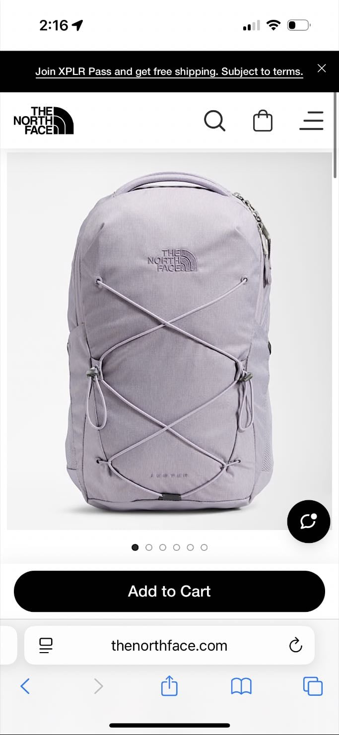 jester backpack in “minimal gray” - northface