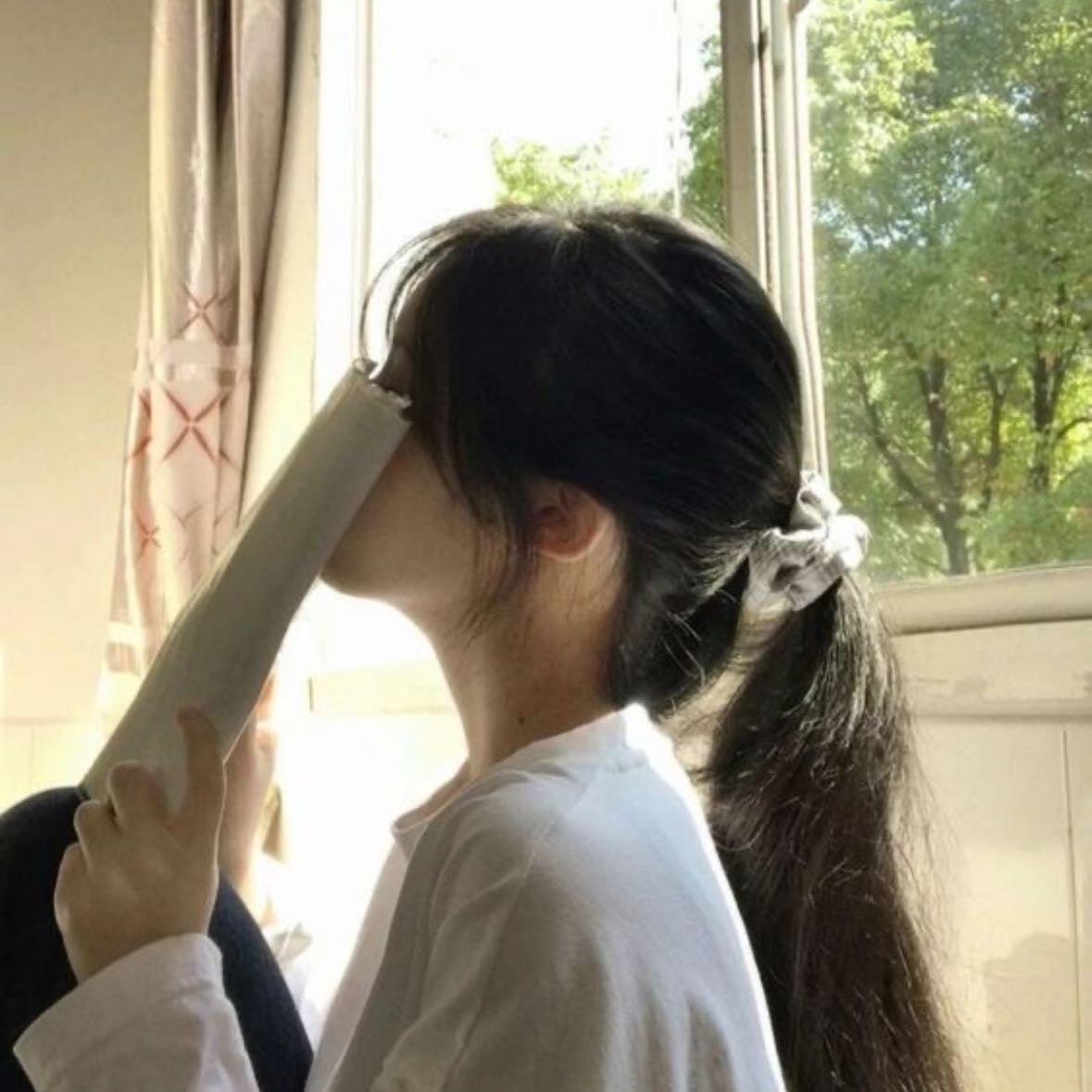 alice sun 📖👻 - fmc - if you could see the sun