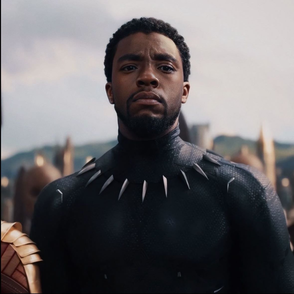 tβchalla πββ¬πΎ - black panther