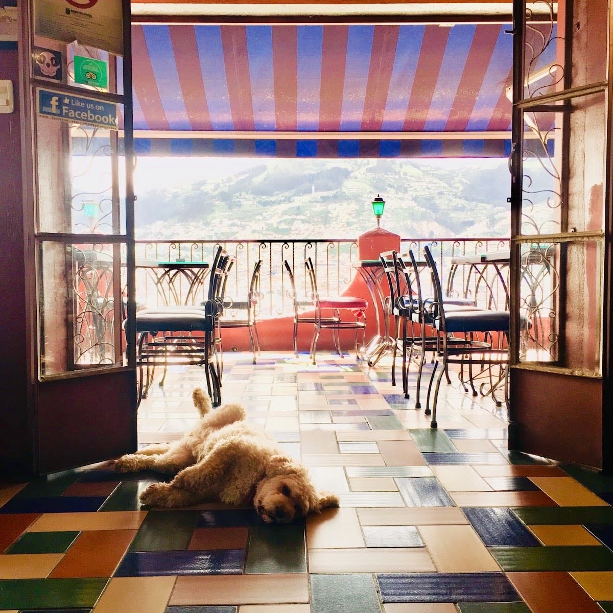 Café Mosaico