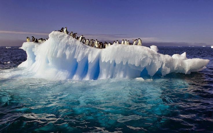 Antarctique
