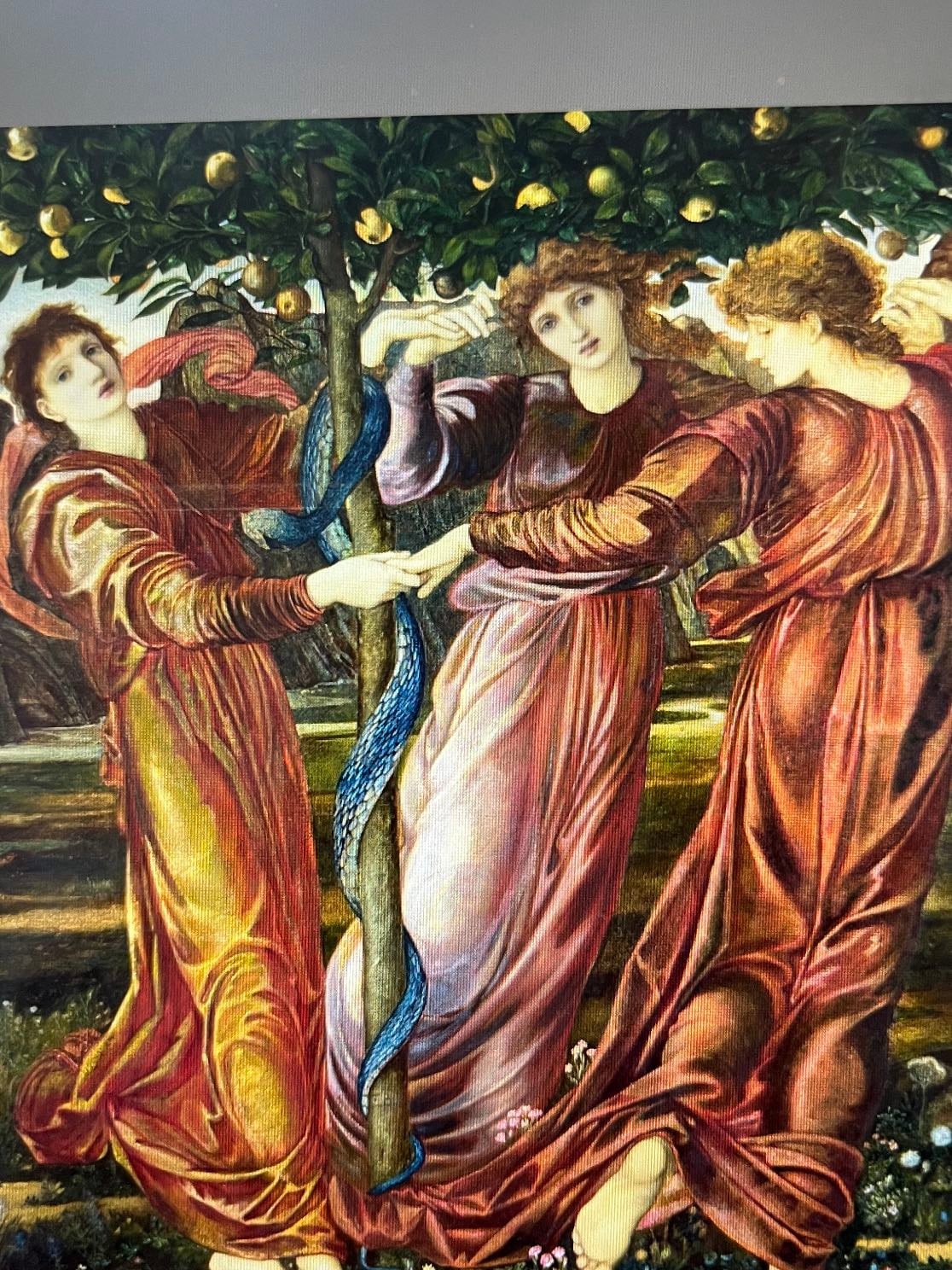 Las Hespérides - Jardín de las Hesperides 1969-73 Edward Burne Jones
