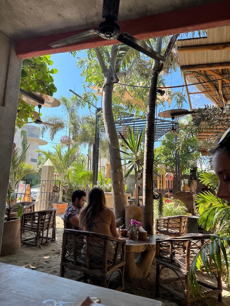 Mombasa - Rico