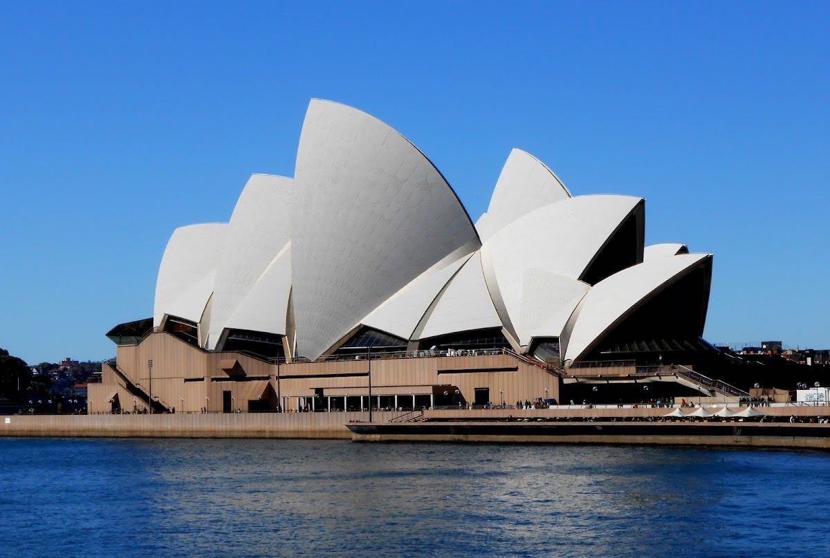 sydney🐨 - black space baby!