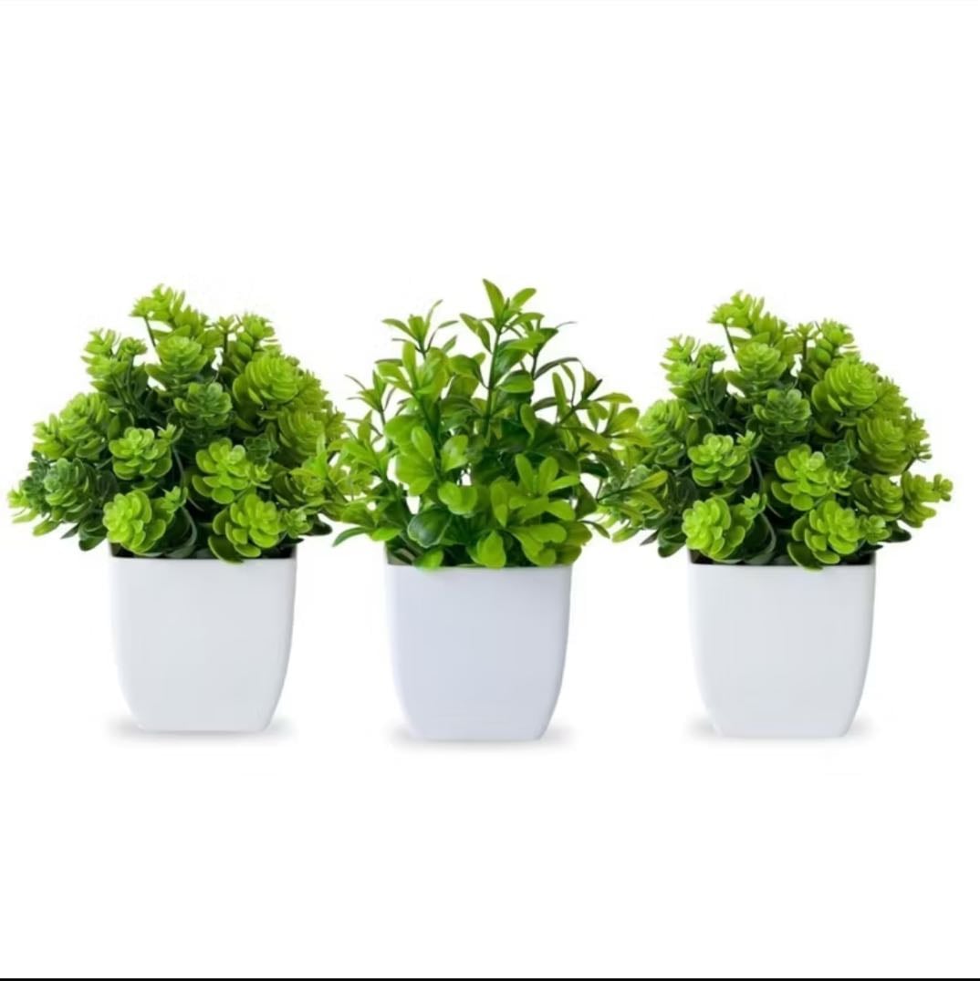 Plantas