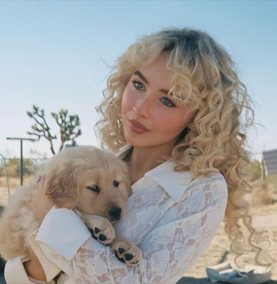 Sabrina🧸 - Artist