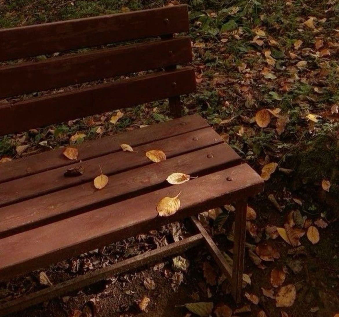 stepping on crunchy leaves