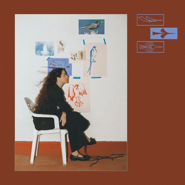 Como Un Pájaro - Album · Silvana Estrada