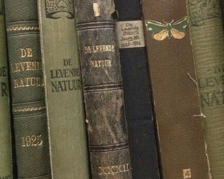 Books ꩜𖦹༄