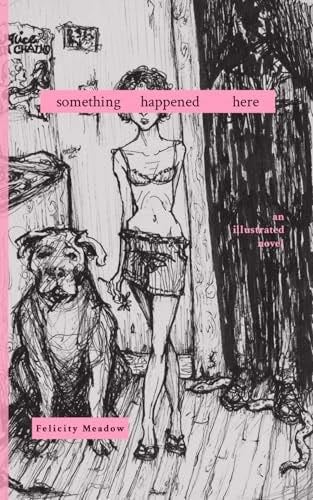 Something Happened Here: an illustrated novel - Felicity Meadow · 2024