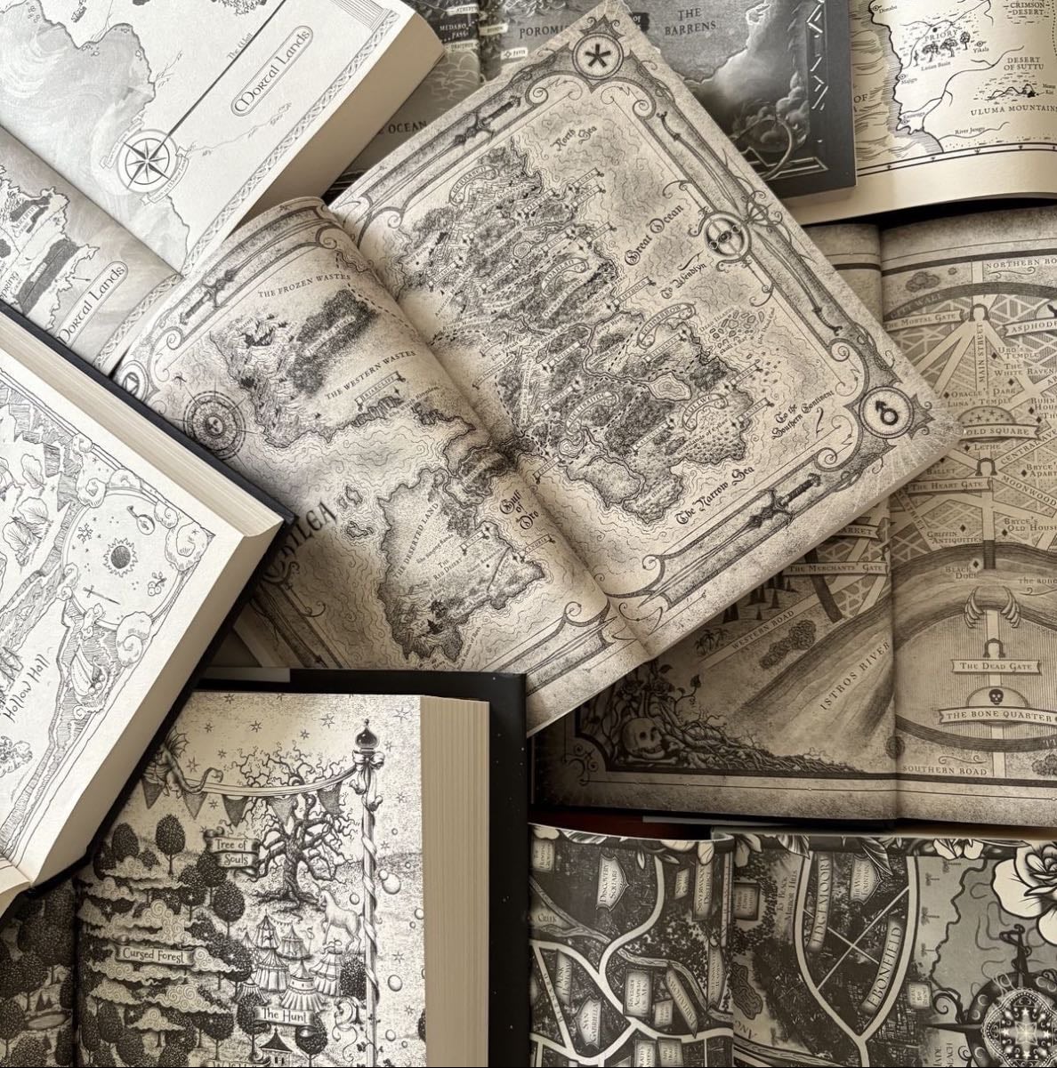 fantasy shelf