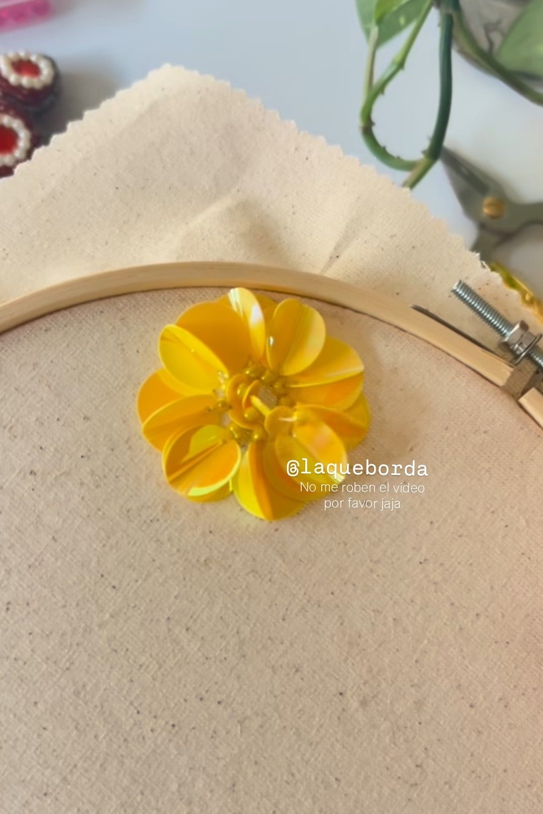 Bordado Decorativo N° 10 - Lentejuelas