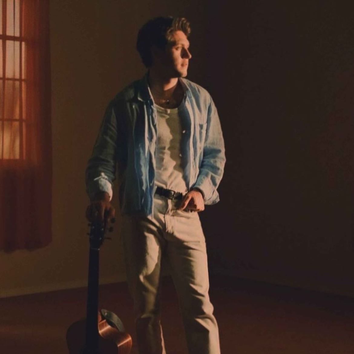 Niallhoranshow