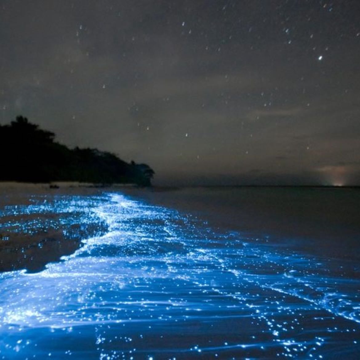 Sea of Stars - Maldives