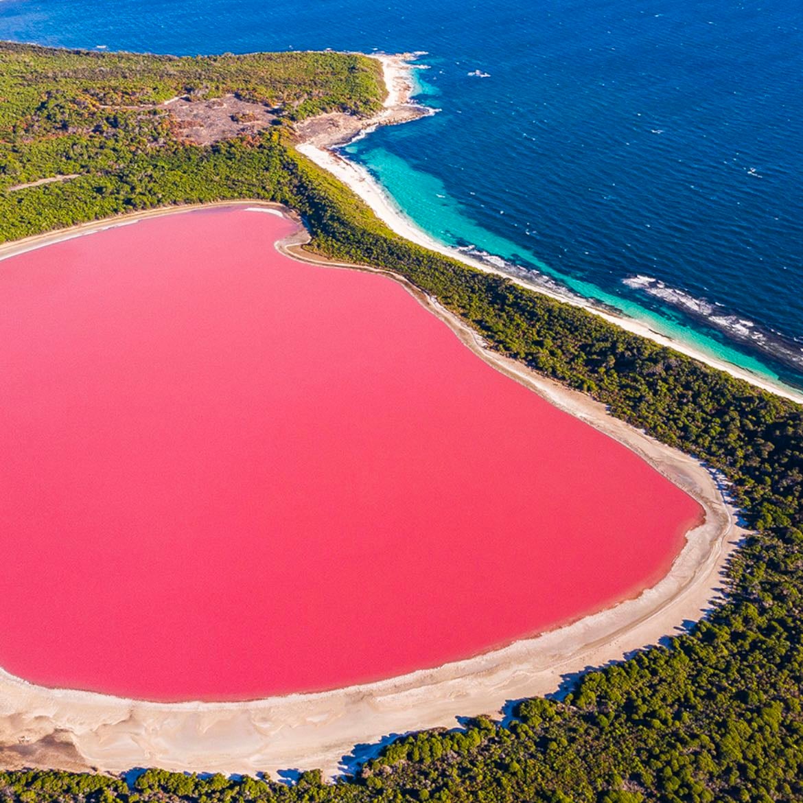 Pink Lake - Australie