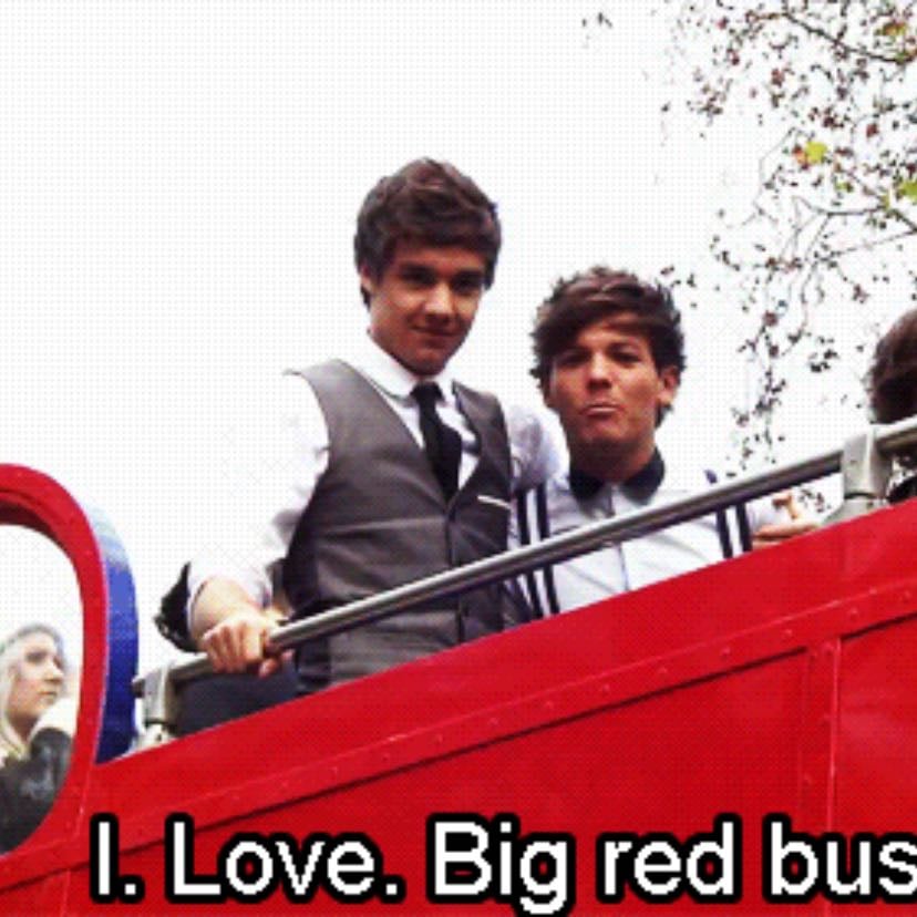 I love big red bus