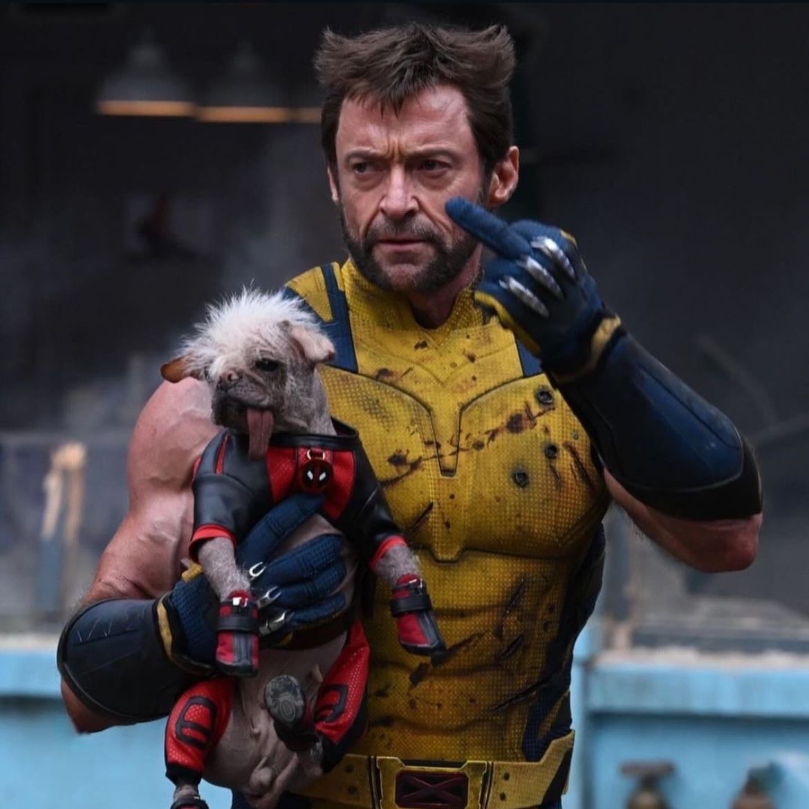 10. deadpool & wolverine - iconic. what got me into xmen. but i felt it was a bit too overhyped, i get majority of the rave was because of nostalgia, this movie also just so messy. in a good way, obvi, the plot made sense but there was so much going on. but the plot felt useless, like what was the point of this movie (ㆀ˘・з・˘)?? these two definitely did it in the car.