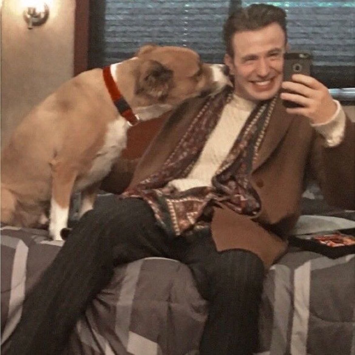 chris evans ˖ . ݁𝜗𝜚. ݁₊