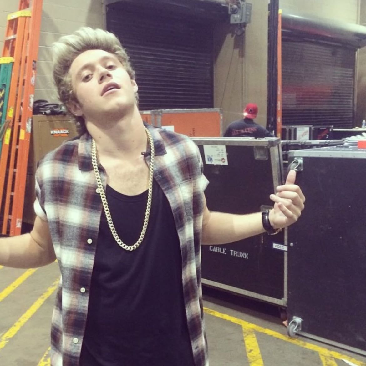 niall horan ˖ . ݁𝜗𝜚. ݁₊