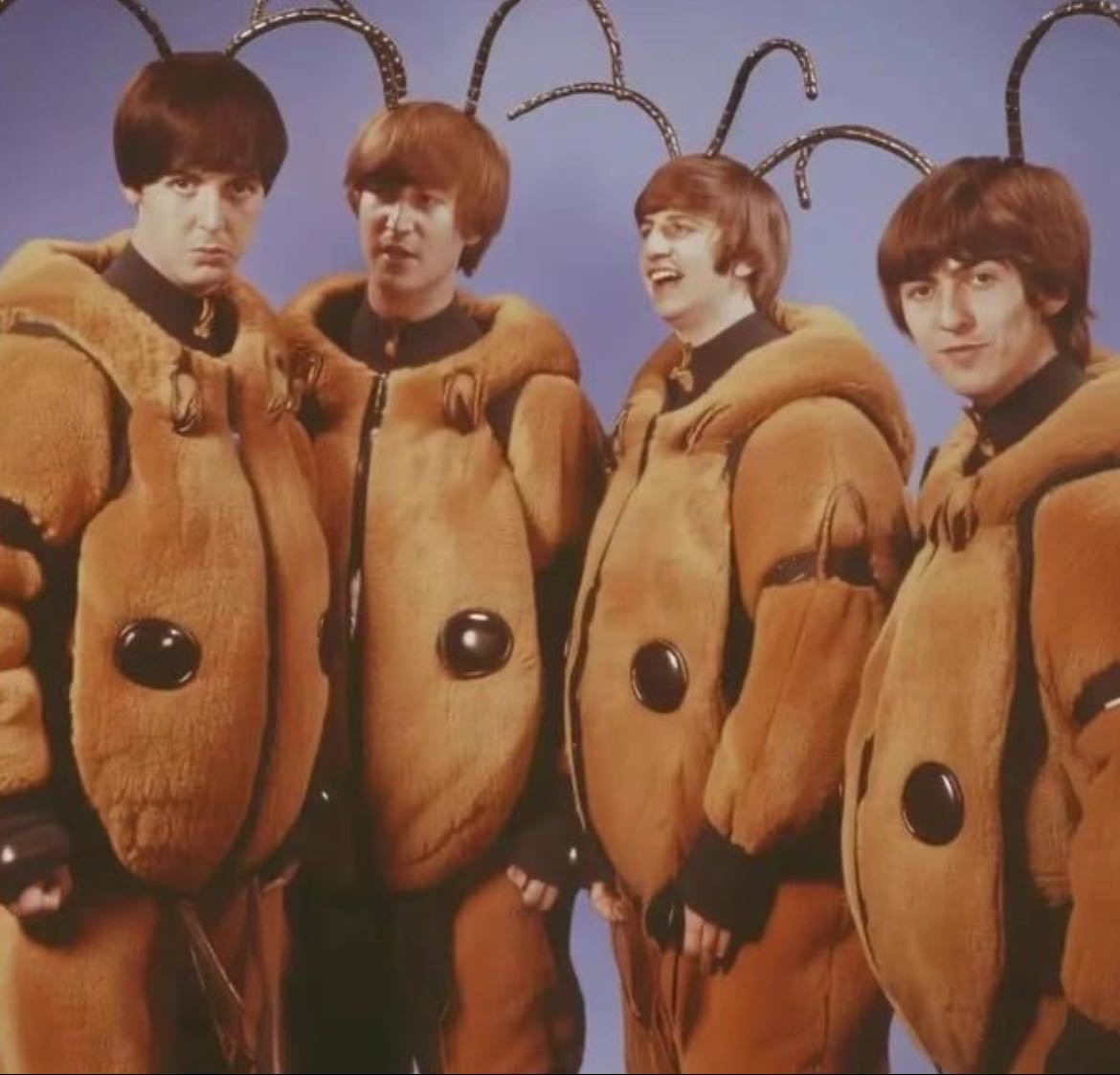 the beatles ⁺˳✧༚ - my bias is paul mccartney, i literally had to dress up as him for an assignment in eighth grade