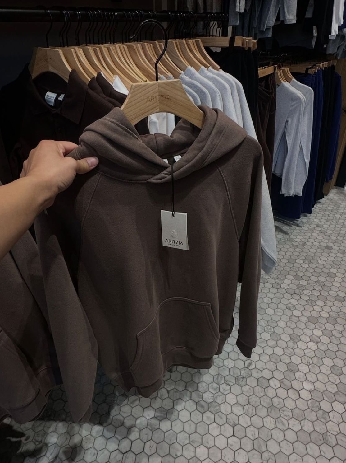 hoodie ⁺˳✧༚ - specifically an aritzia one cuz they eat