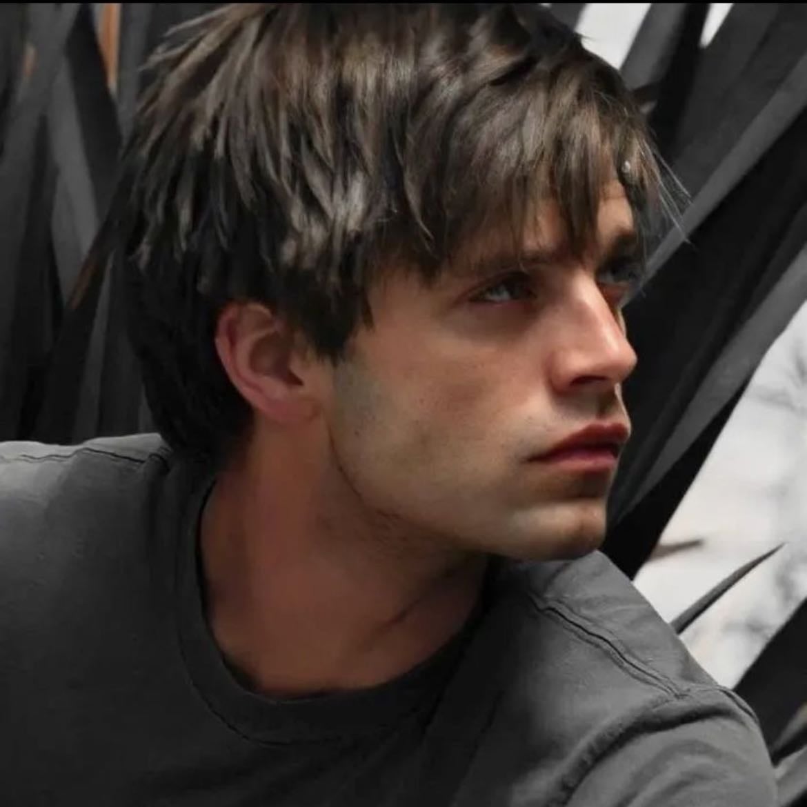 sebastian stan ˖ . ݁𝜗𝜚. ݁₊