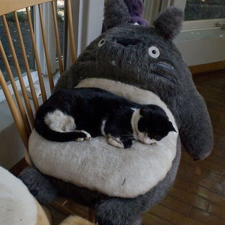 Totoro Big plush/Beanbag Chair/Bed - My Neighbor Totoro