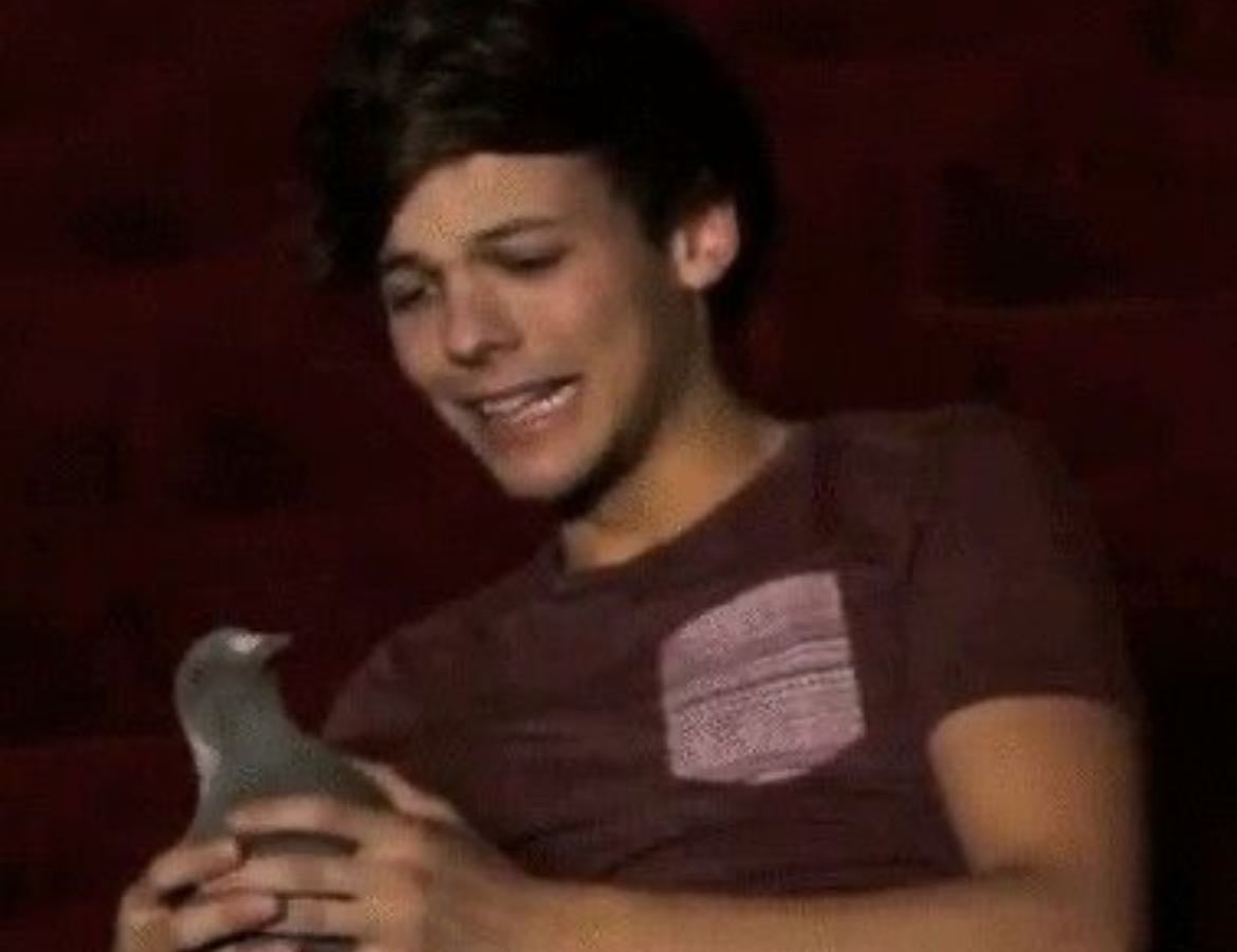 Louis's favorite quote - other hypelist by Martina Horan ๐ฎ๐ช