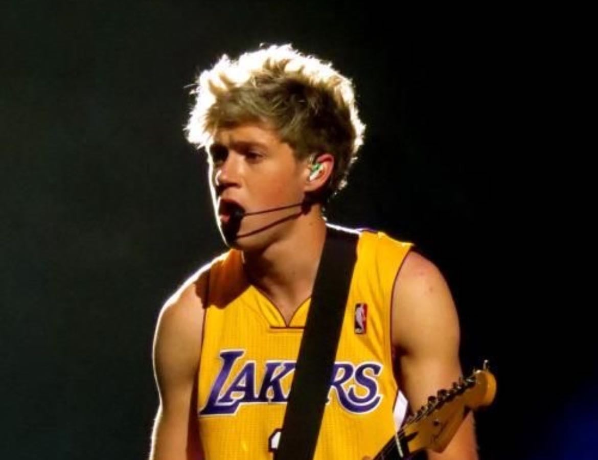 Fav Niall song? - Music hypelist by Martina Horan 馃嚠馃嚜