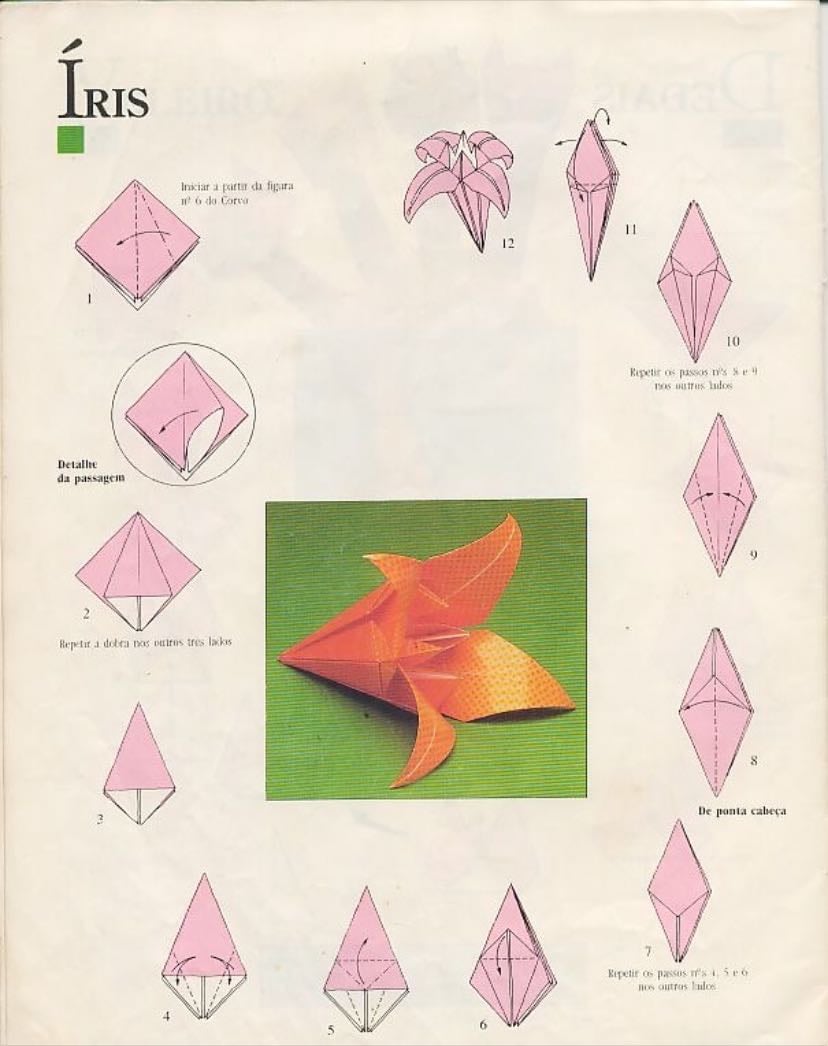 Origami lily