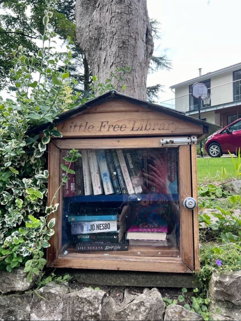 Street libraries