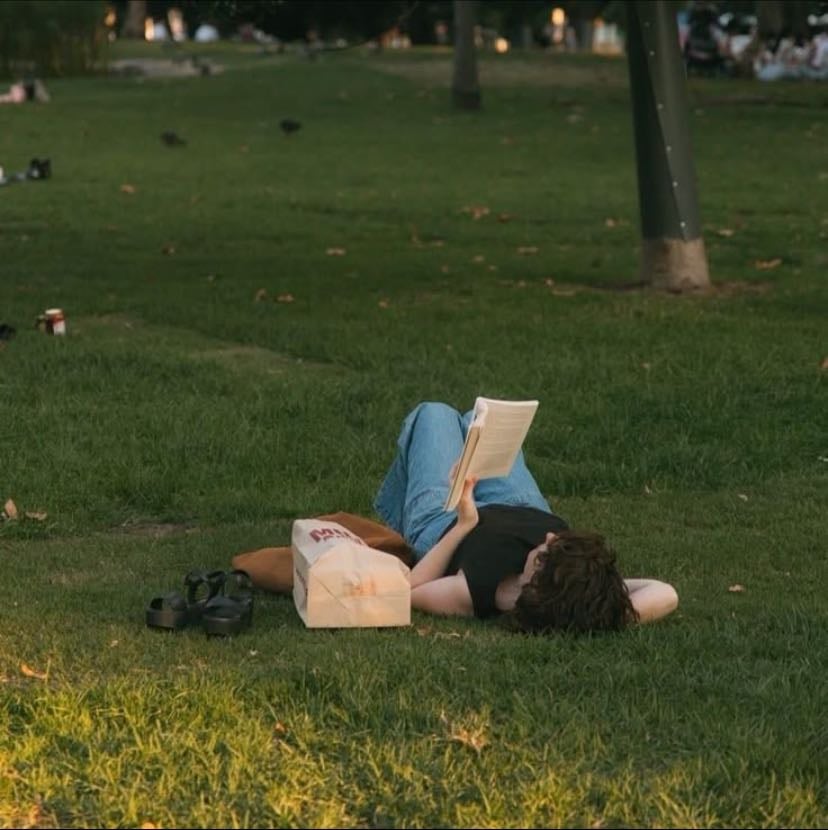 Solo picnics in the park