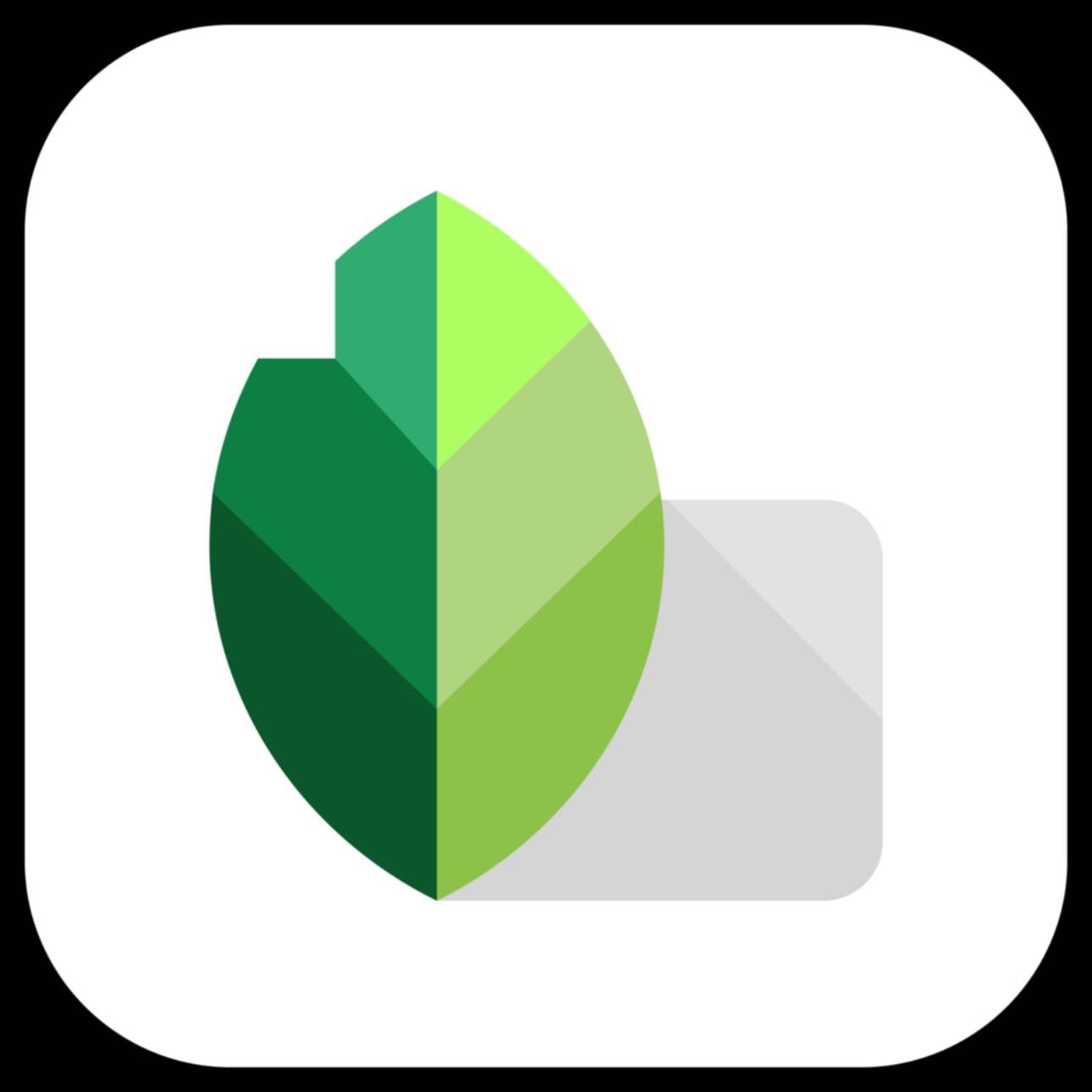 Snapseed - Retoque y edición de fotos