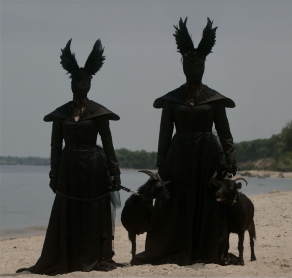 AHS Delicate - Brad Falchuk, Ryan Murphy · 2011