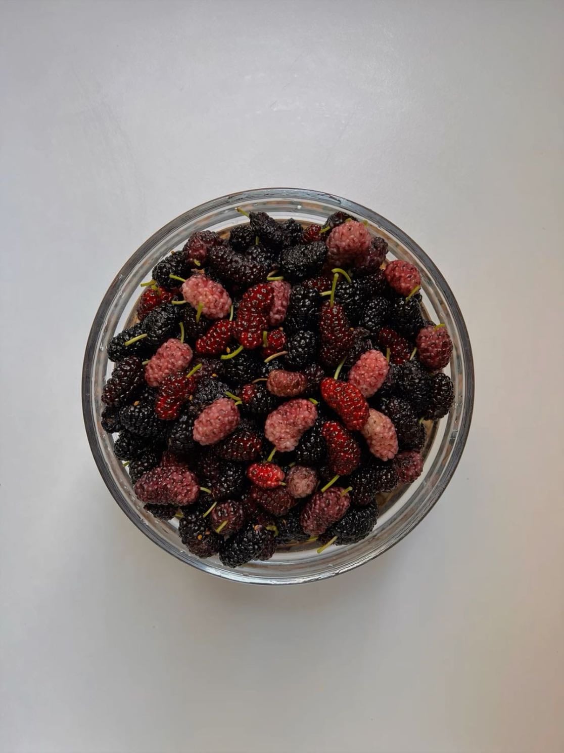mulberries (toot!)