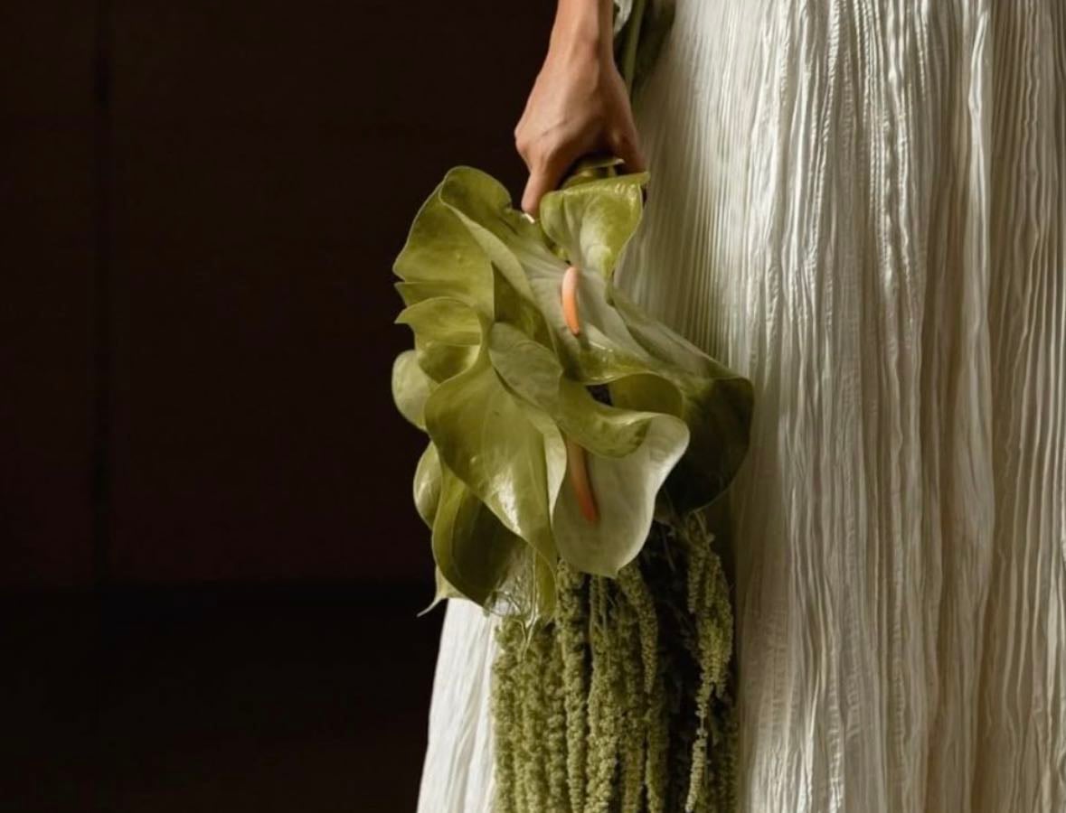 plantas & flores favoritas