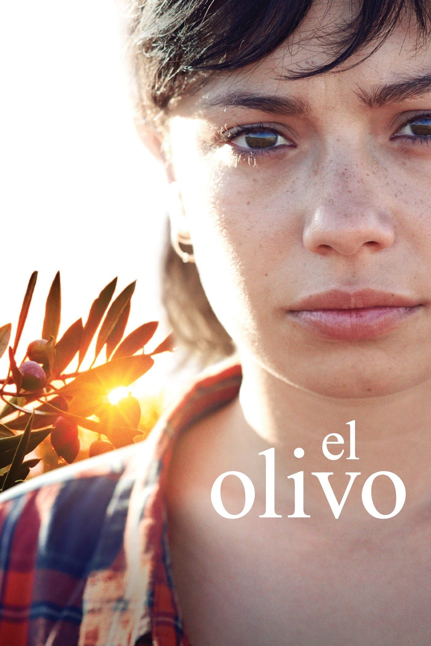 El Olivo - Icíar Bollaín · 2016
