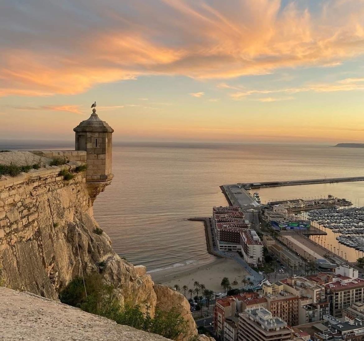 Alicante Foodie🥘🫒✨🍽️🍸