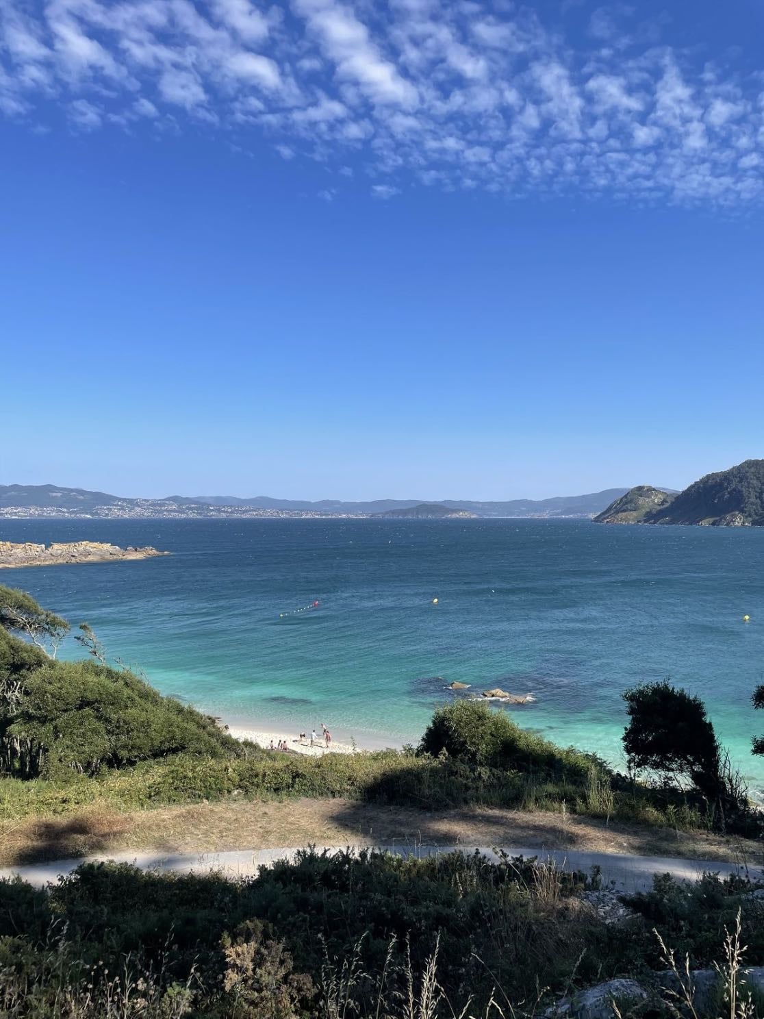 Vigo