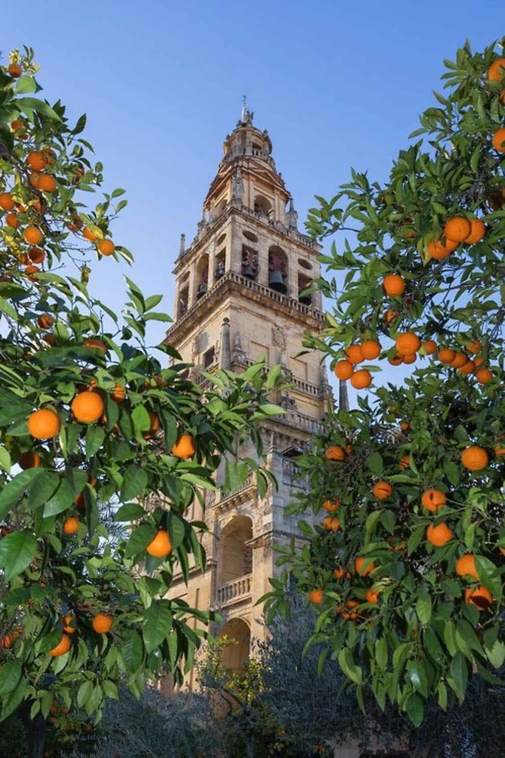 Córdoba
