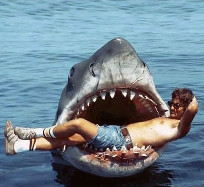 Jaws - Steven Spielberg · 1975