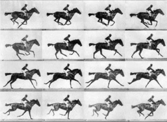 Sallie garden at a Gallop - Eadweard Muybridge • 1878